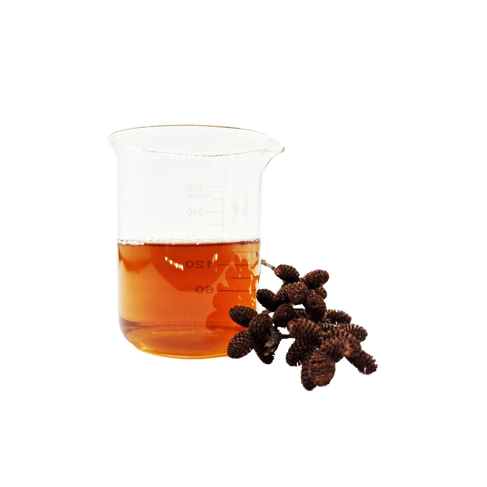 Nano Alder Cones on Stalk (30 Pack) - Castle Dawn Aquatics
