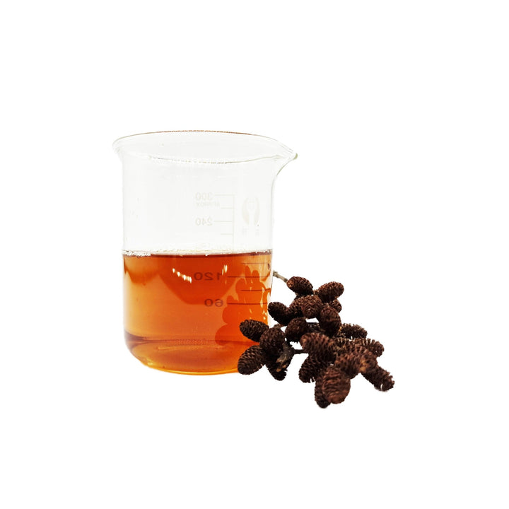 Nano Alder Cones on Stalk (30 Pack) - Castle Dawn Aquatics