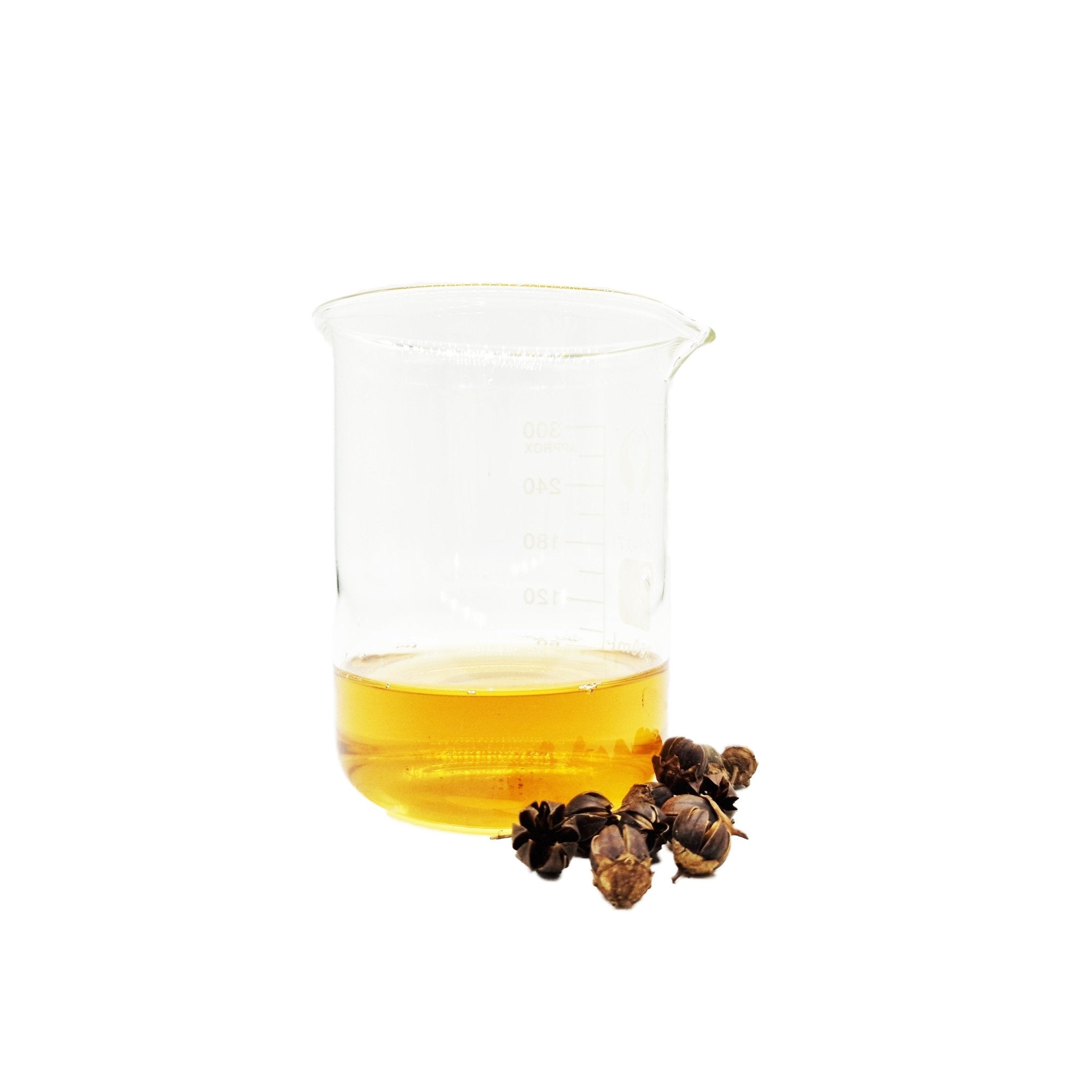 Nano Indica Pods (50 Pack) - Castle Dawn Aquatics