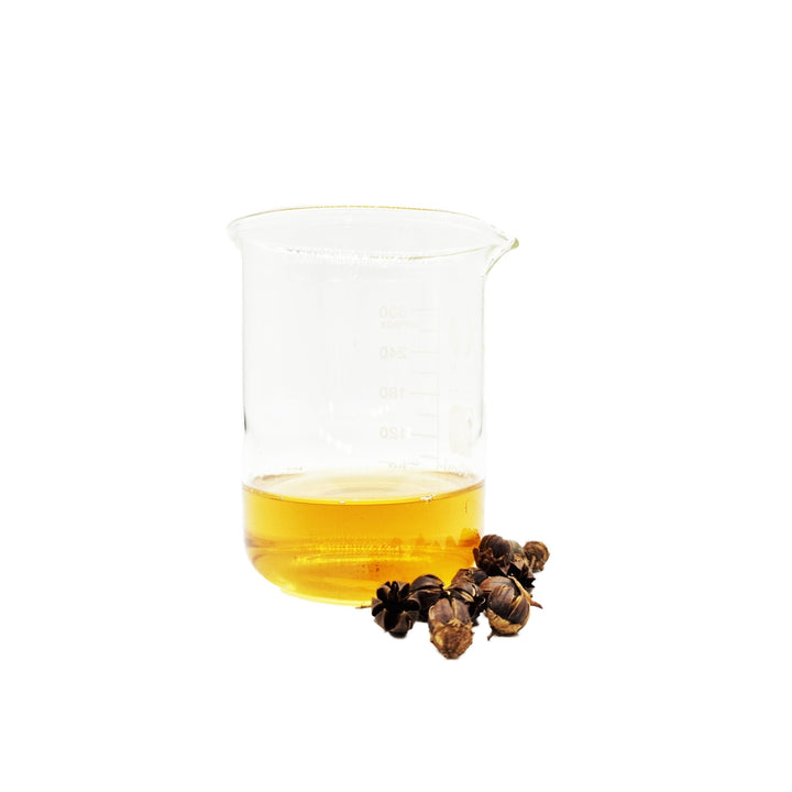 Nano Indica Pods (50 Pack) - Castle Dawn Aquatics