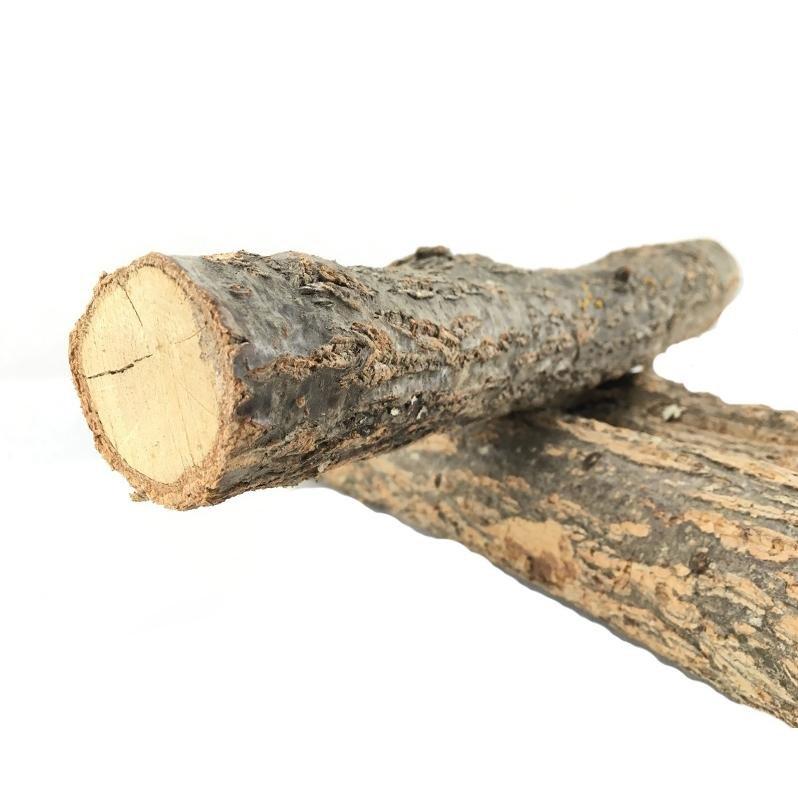 Natural Champagne Cork Trunks - Castle Dawn AquaticsHardscape Materials