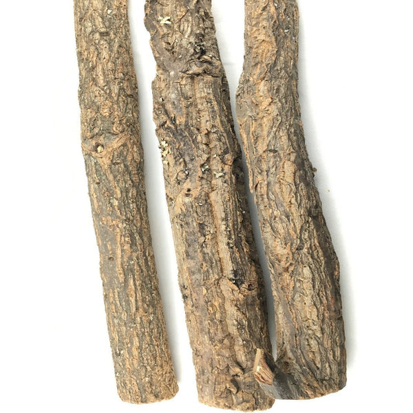 Natural Champagne Cork Trunks - Castle Dawn AquaticsHardscape Materials