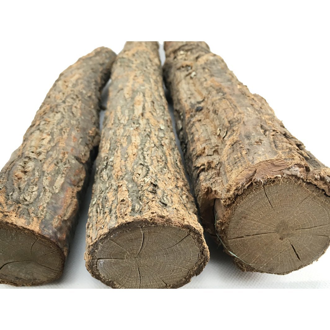 Natural Champagne Cork Trunks - Castle Dawn AquaticsHardscape Materials