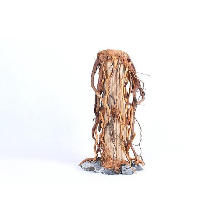 Natural Handcrafted Root Stump Tree Trunks - Castle Dawn AquaticsHardscape Materials