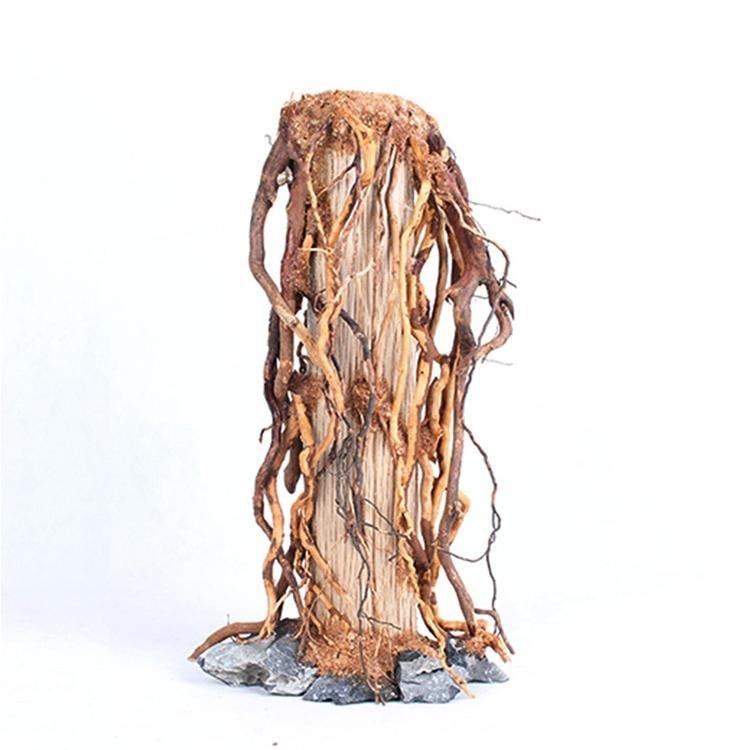 Natural Handcrafted Root Stump Tree Trunks - Castle Dawn AquaticsHardscape Materials