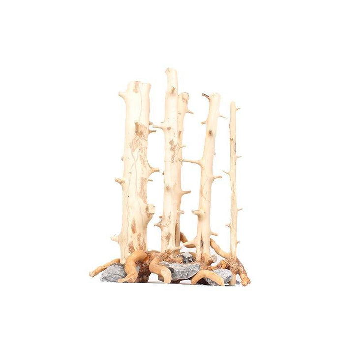 Natural Pre-Made Drift Wood Branchless Trees - Castle Dawn AquaticsHardscape Materials