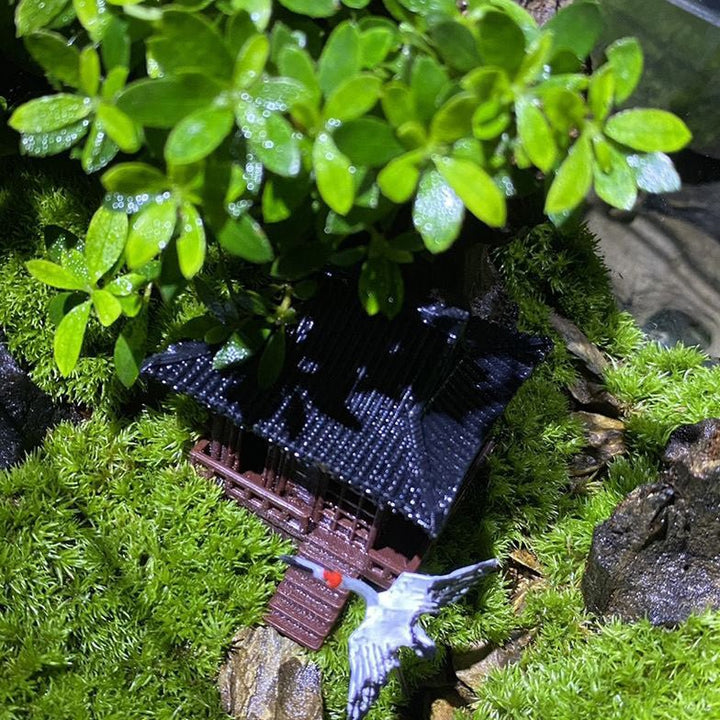 Siheyuan Style House - Castle Dawn Aquatics