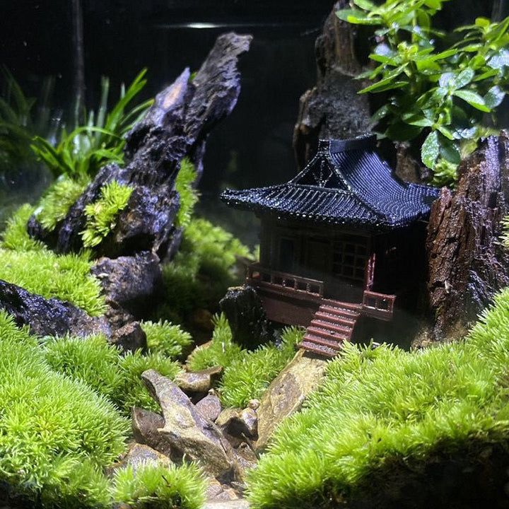 Siheyuan Style House - Castle Dawn Aquatics