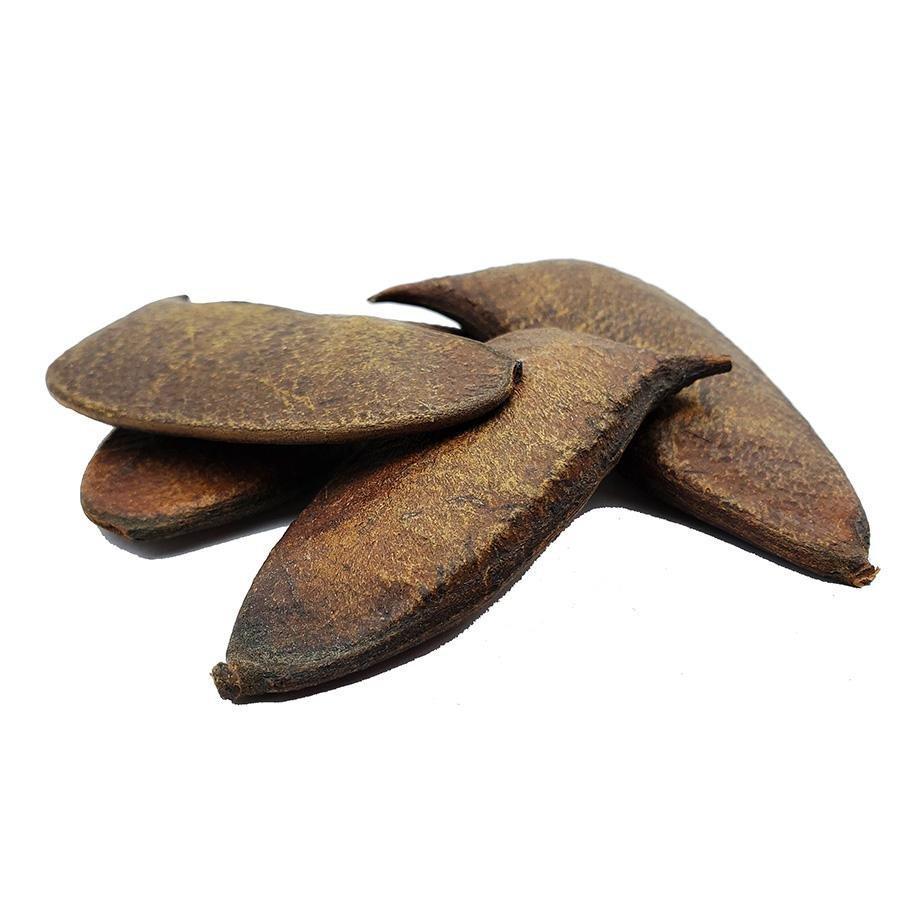 Small Natural Dried Afzelia Pods - Castle Dawn AquaticsAquarium Aquatic Aquascaping Botanicals