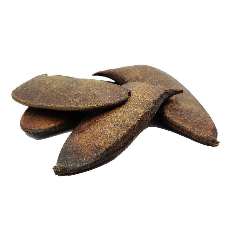 Small Natural Dried Afzelia Pods - Castle Dawn AquaticsAquarium Aquatic Aquascaping Botanicals