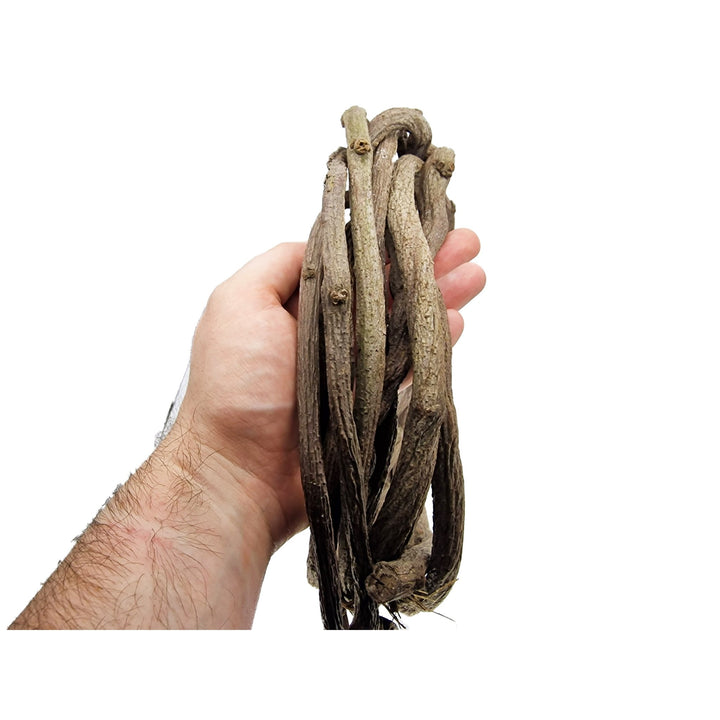 Thick Rattan Accent Vine Roots - Castle Dawn Aquatics