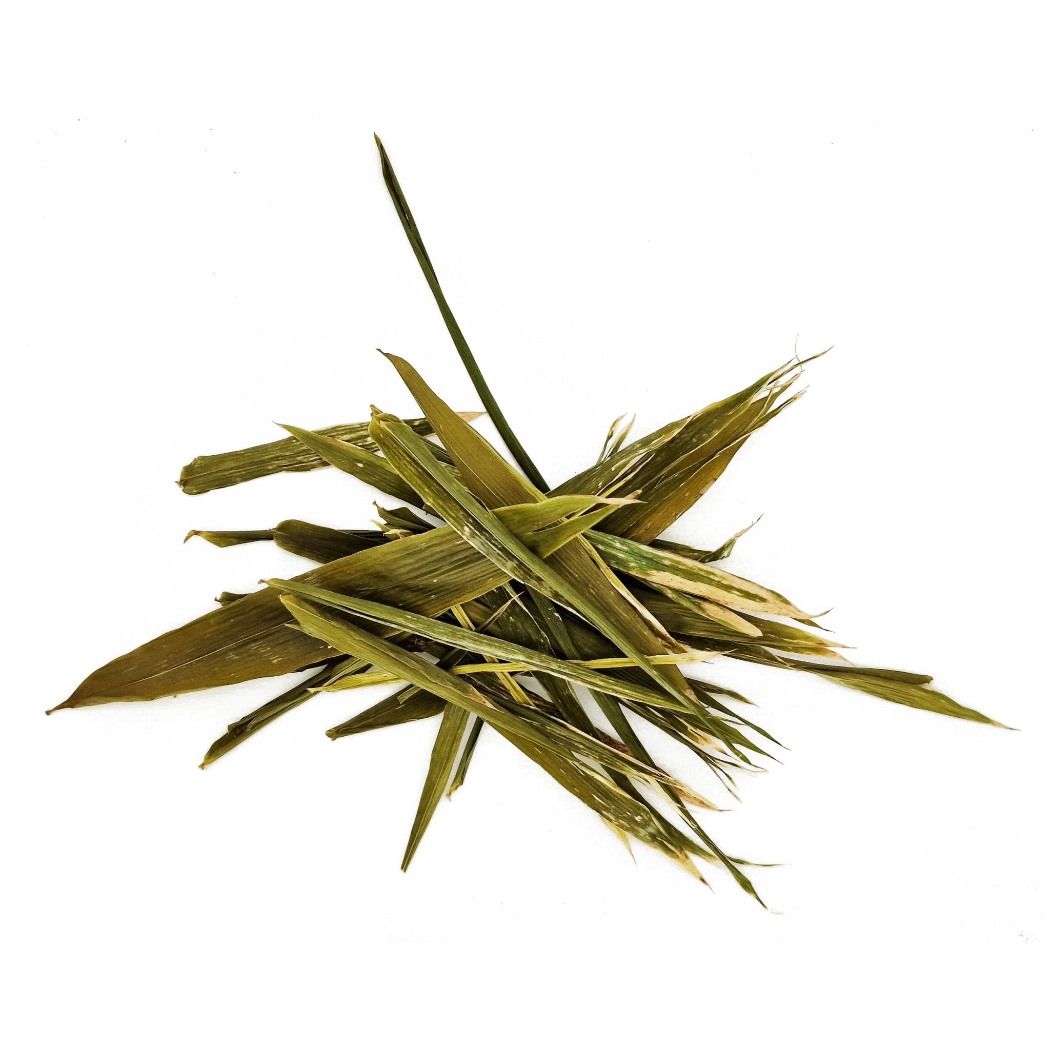 Umbrella Bamboo Leaf Litter (50 Pack) - Castle Dawn Aquatics